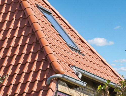 Rygninger og kratsrygninger