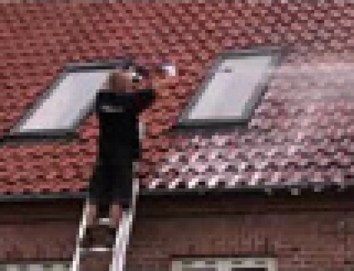 Algebehandling af tegltag i Greve