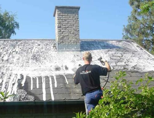 Algebehandling af skifereternittag i Karlslunde