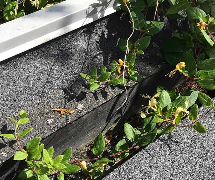 Reparation af tagpaptag Jydsk Tagteknik