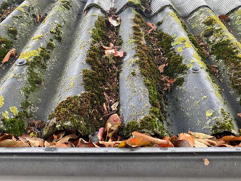 Fyldte tagrender som trænger til at blive renset